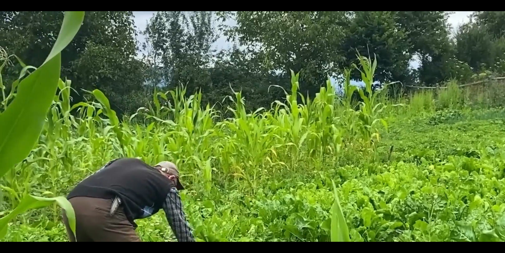 【李毅】三农之路