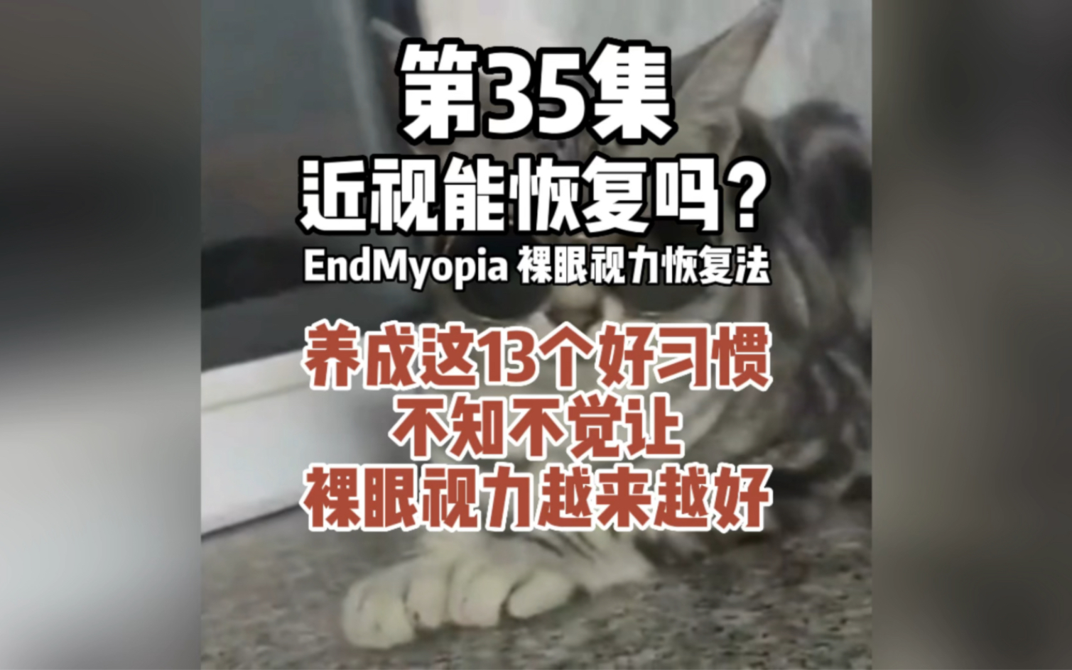 【手机族必看】第35集|养成这13个习惯,不知不觉让视力越来越好. 帮助上万近视人群恢复裸眼视力的EM+裸眼视力恢复法,第35节哔哩哔哩bilibili