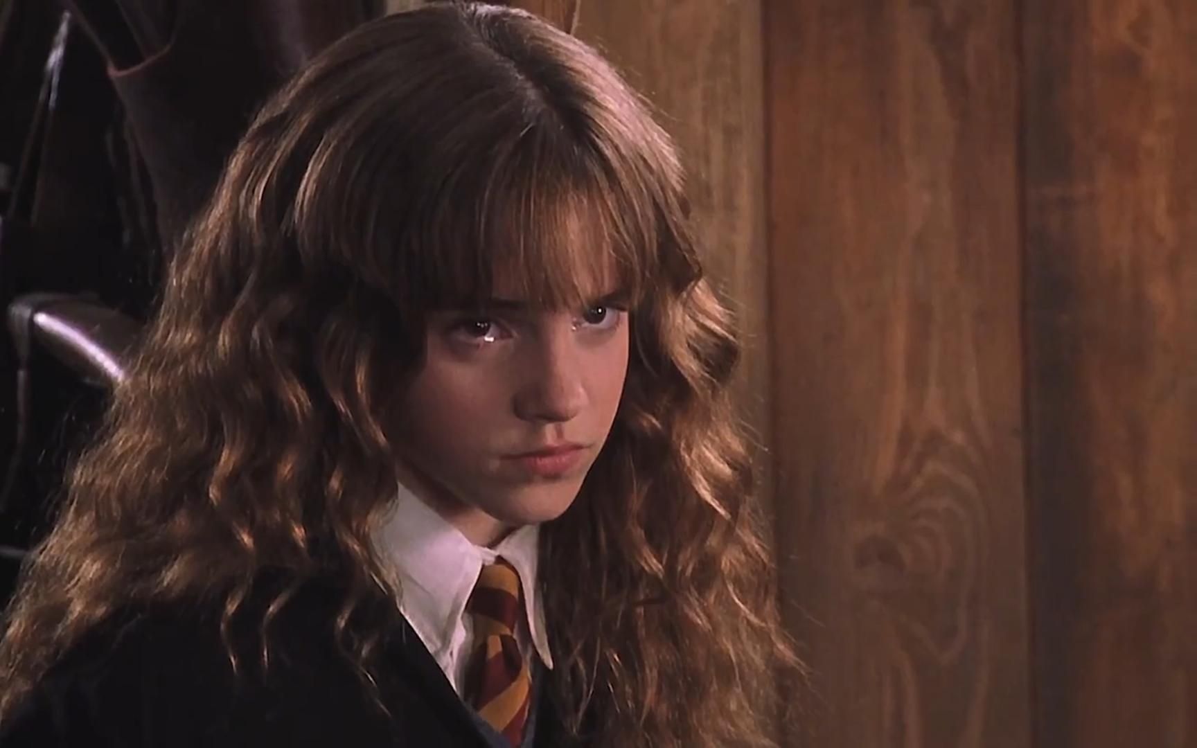 "她是泥巴种赫敏,她是魔法部部长"