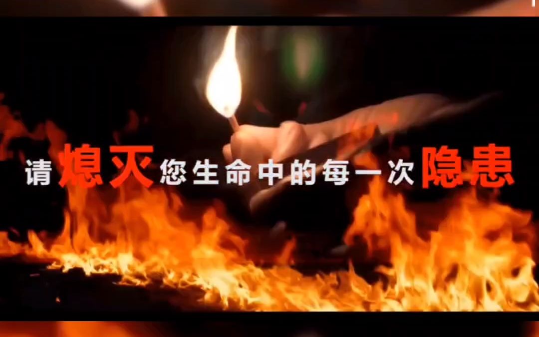 元旦我在岗|森林防火知识快问快答哔哩哔哩bilibili