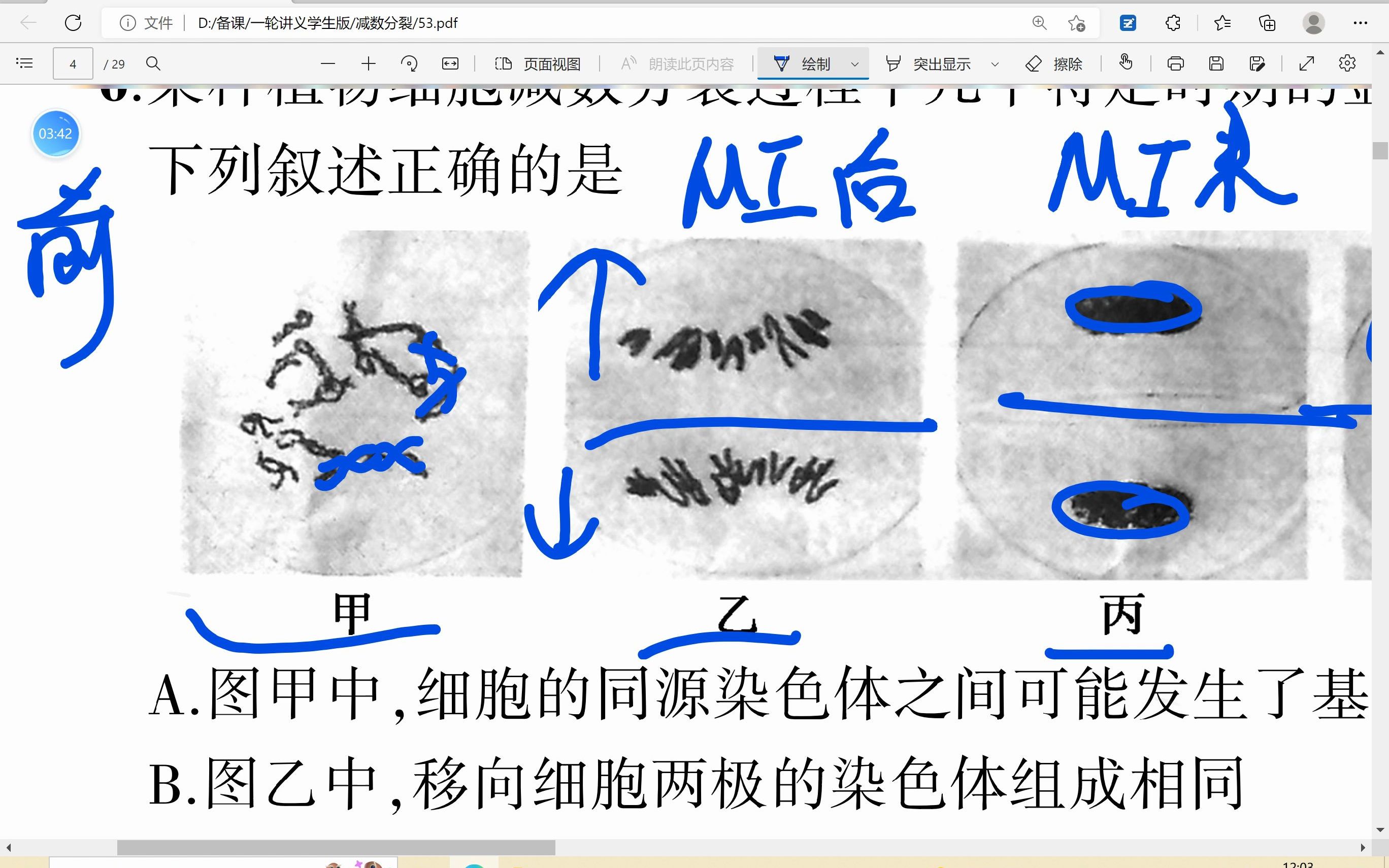 减数分裂电镜图片哔哩哔哩bilibili