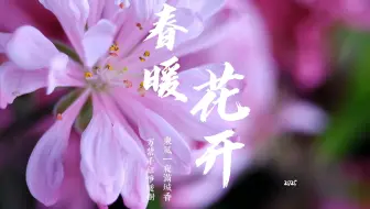 【原创】【延时摄影】【合辑】春暖花开2025
