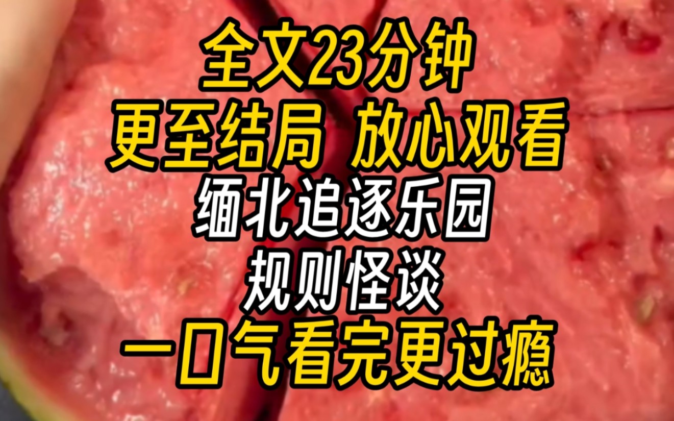 【完结文】缅北追逐乐园规则怪谈(细思密恐)欢迎来到缅北追逐乐园,请记住你的任务就是找到线索,成功逃亡.务必遵守乐园规则,否则就地抹杀.哔...