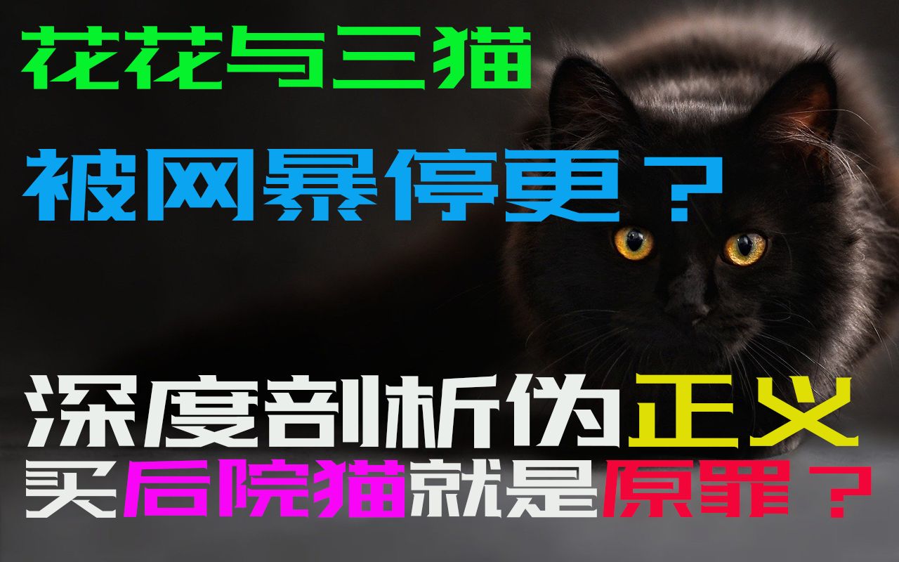 [图]【猫熊】花花与三猫被网暴停更？深度剖析伪正义：买后院猫是原罪吗？