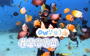 菲律宾PG海豚湾——成功晋升菜鸟潜水员