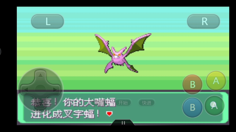 闪光叉字蝠