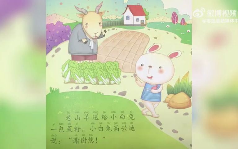 【绘本故事】小白兔和小灰兔哔哩哔哩bilibili