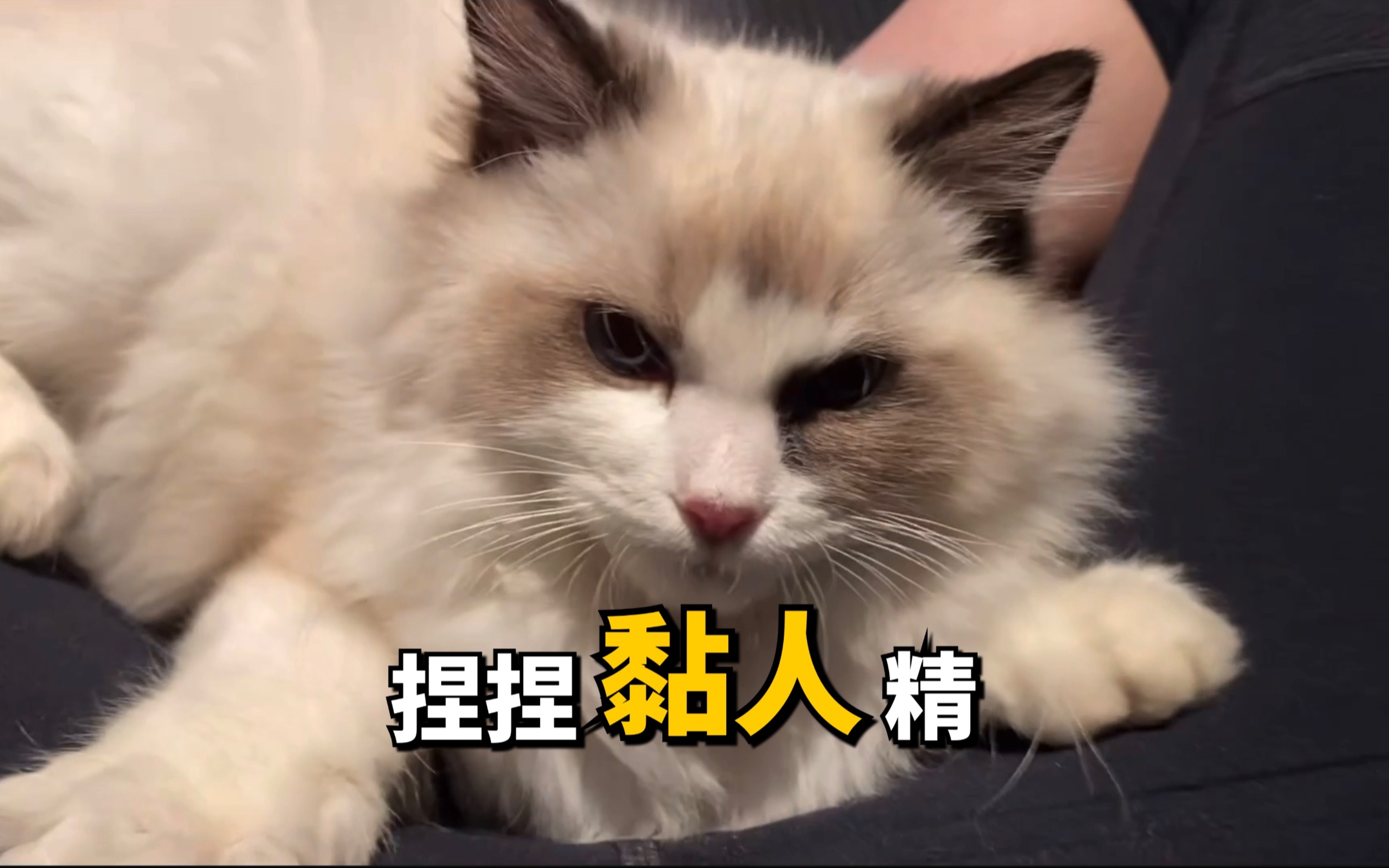 捏捏nene郑乃馨瑜伽垫上做运动黏人精捏捏却瘫在nene身上nene无奈又