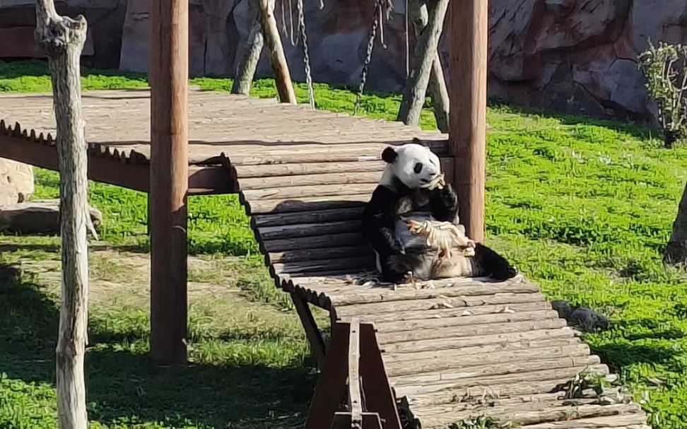 大丰大丰港动物园图片