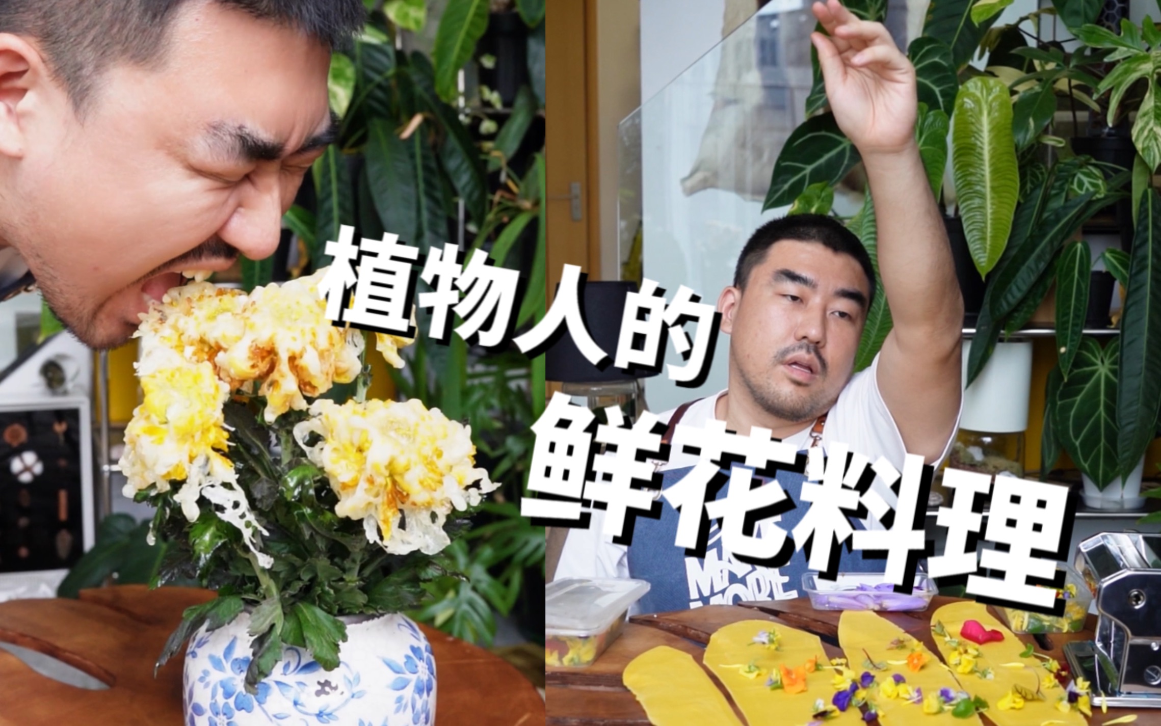 鲜花料理|每天吃花,就是属于我最朴素的日常啊!哔哩哔哩bilibili