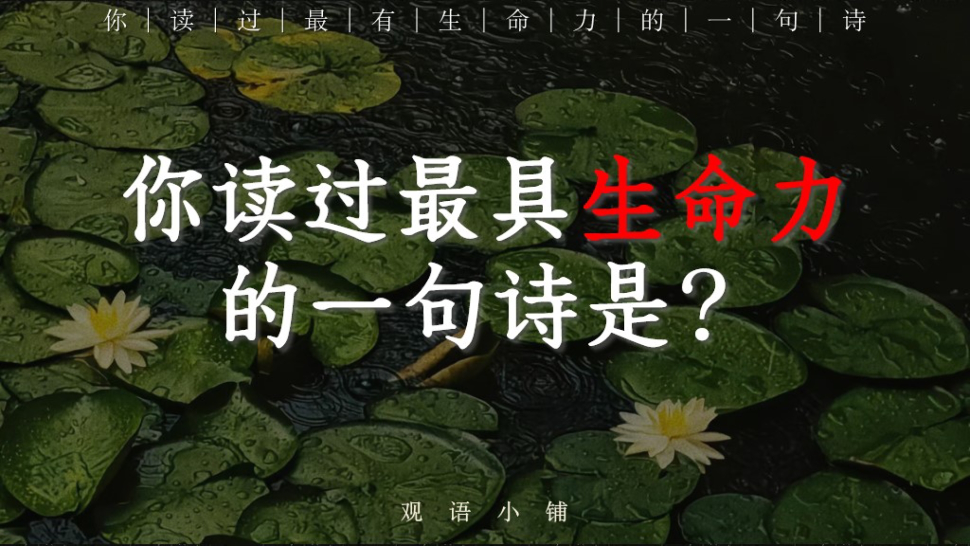 你读过最有生命力的一句诗是? | “微雨过,小荷翻.榴花开欲然”哔哩哔哩bilibili