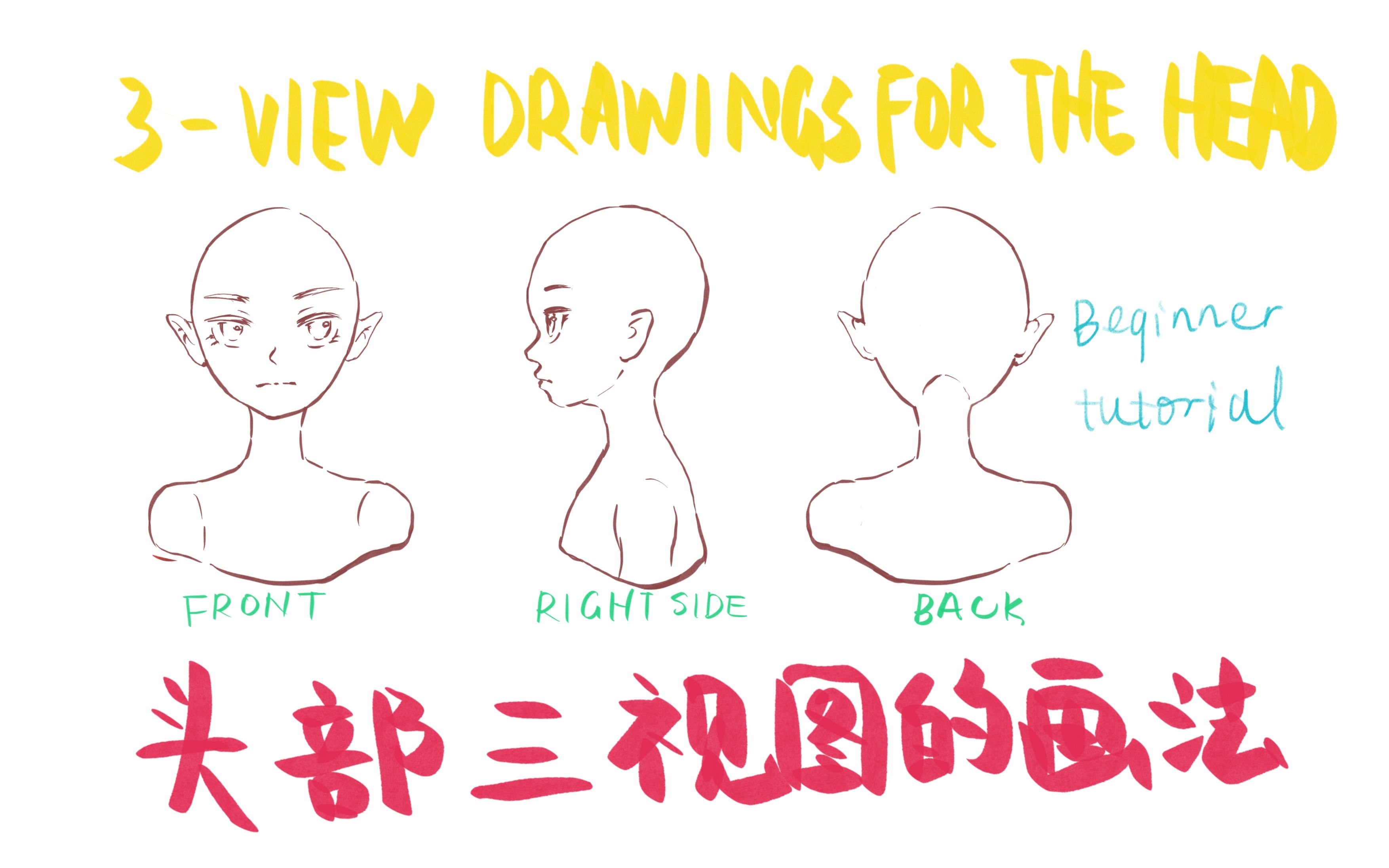 【繪畫教程】動漫頭部的三視圖的畫法 第三方視角 ipad過程演示