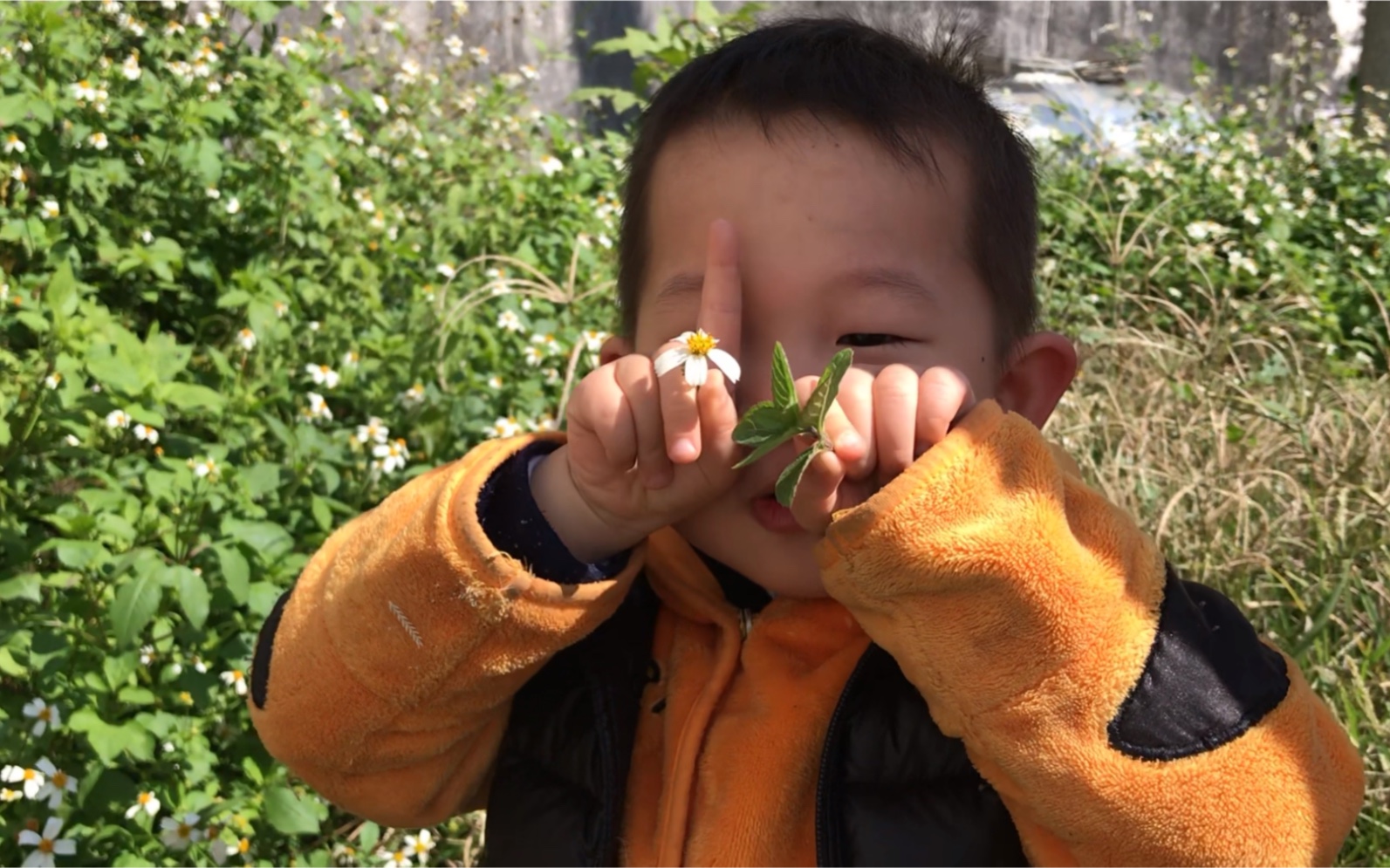 [图]探险外婆家边上的空地 摘薄荷 敲敲蚂蚁的门 第一次试吃野果子 ;