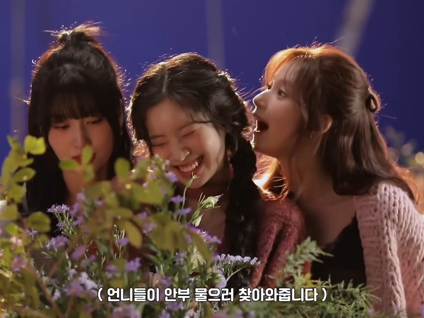 【twice】豆腐能抵挡得住沙漠的攻势吗!