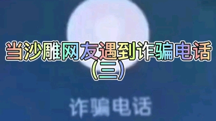 当沙雕网友遇到诈骗电话(三)哔哩哔哩bilibili