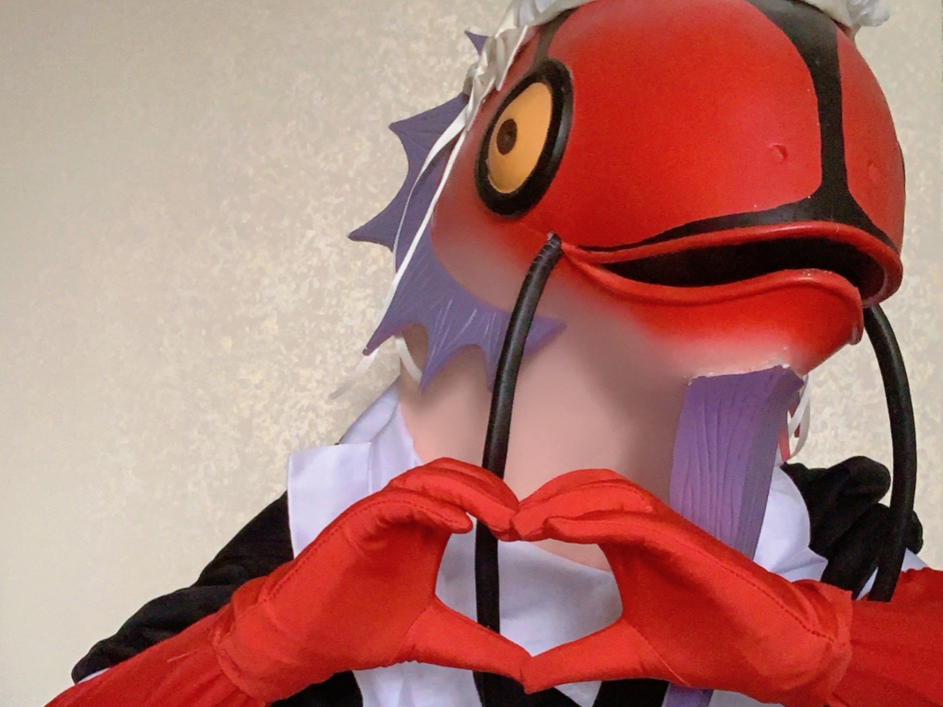 海坊主喜欢什么呢