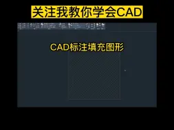 Download Video: 今天教大家CAD标注填充图形