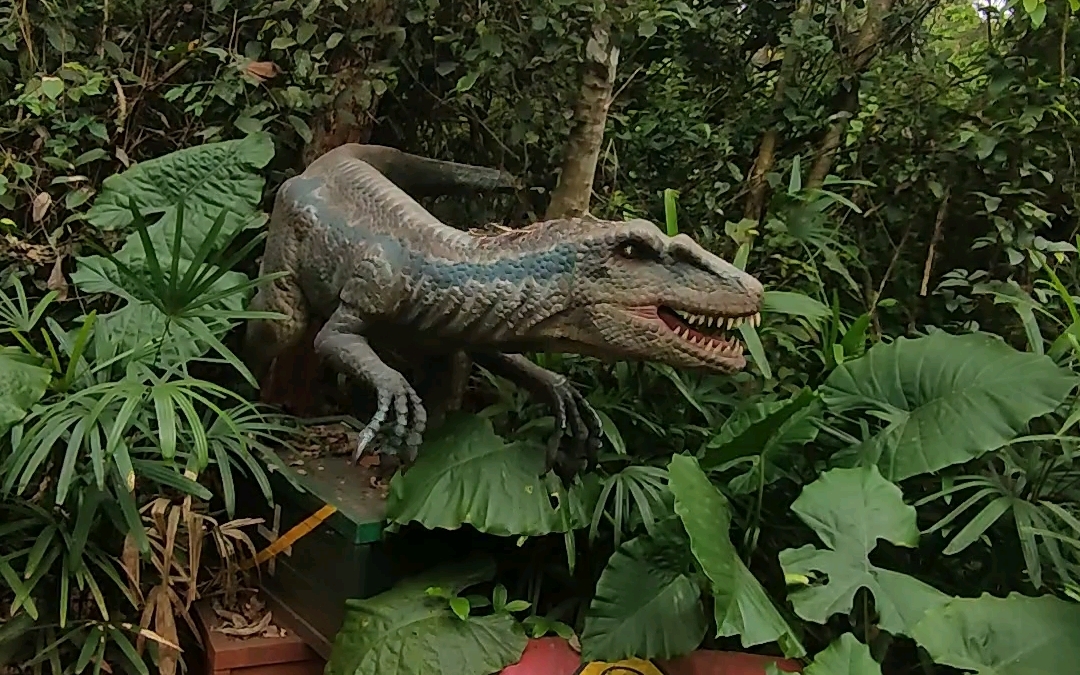 海南热带野生动植物园一日游2