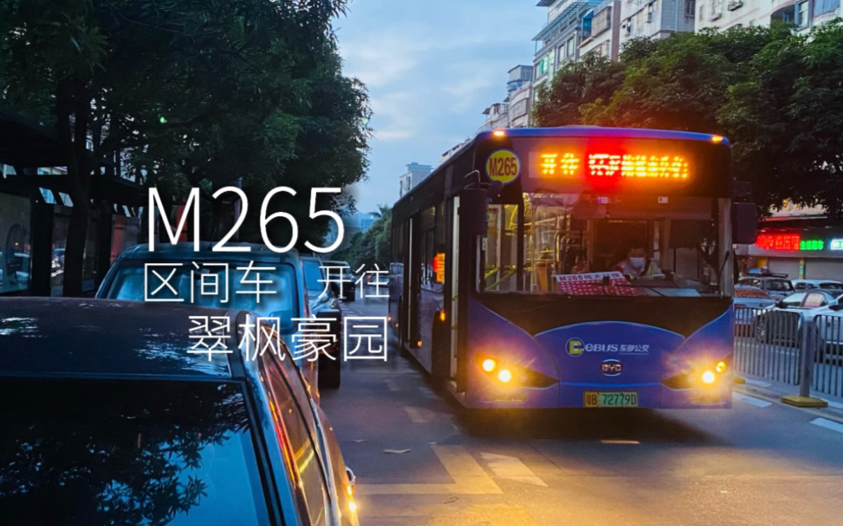 【深圳公交|凌晨特快】 M265 区间车 开往 翠枫豪园哔哩哔哩bilibili