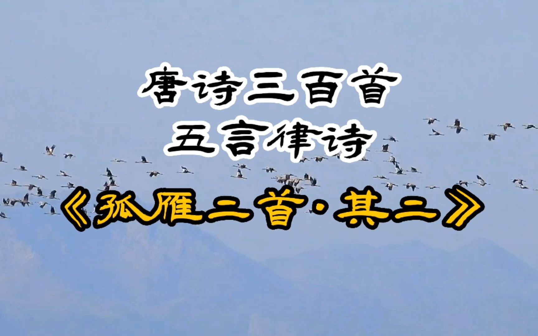 唐诗三百首《孤雁二首ⷥ…𖤺Œ》崔涂哔哩哔哩bilibili