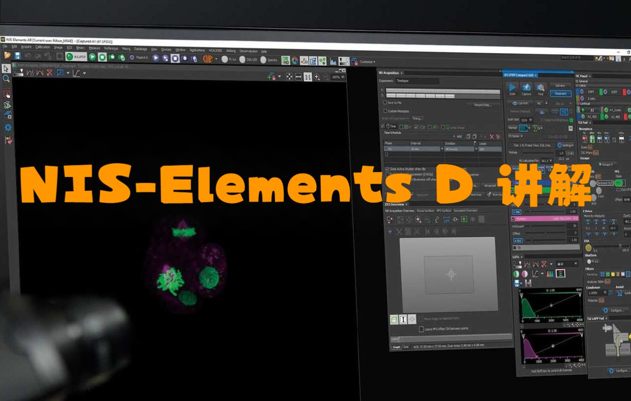 基于尼康显微镜NiU+Ri2的Elements D使用讲解哔哩哔哩bilibili