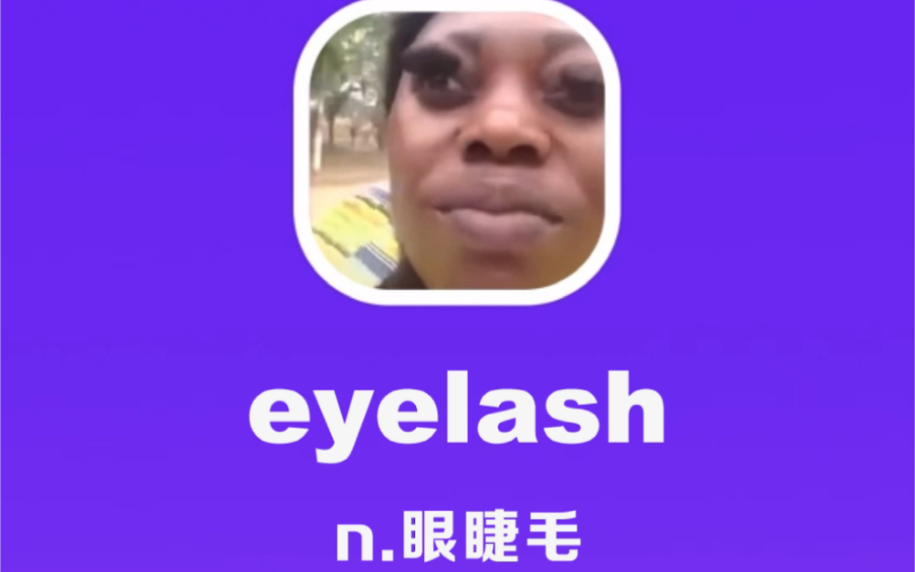 eyelash:眼睫毛哔哩哔哩bilibili