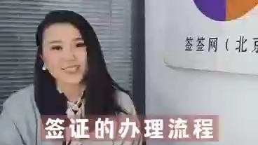 签证怎么办理哔哩哔哩bilibili