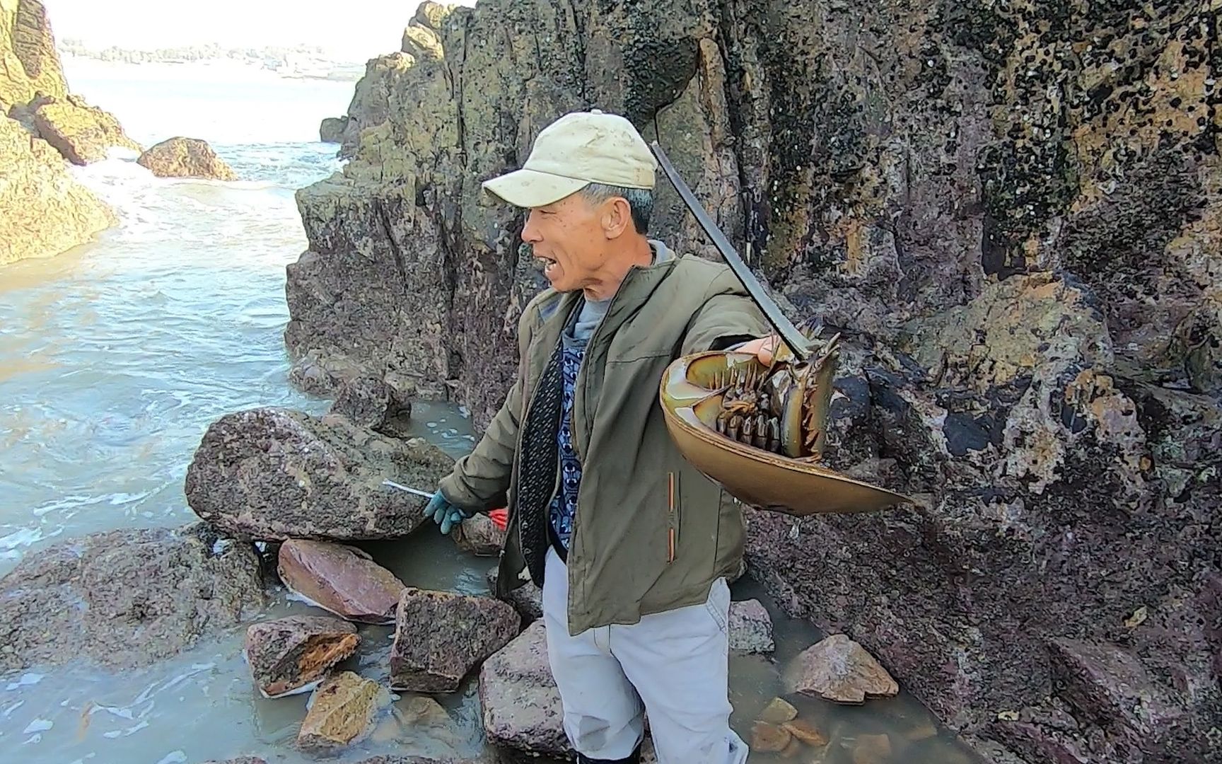 来叔登岛上赶海找货,碰到了一只"海洋活化石",没有人敢抓走它