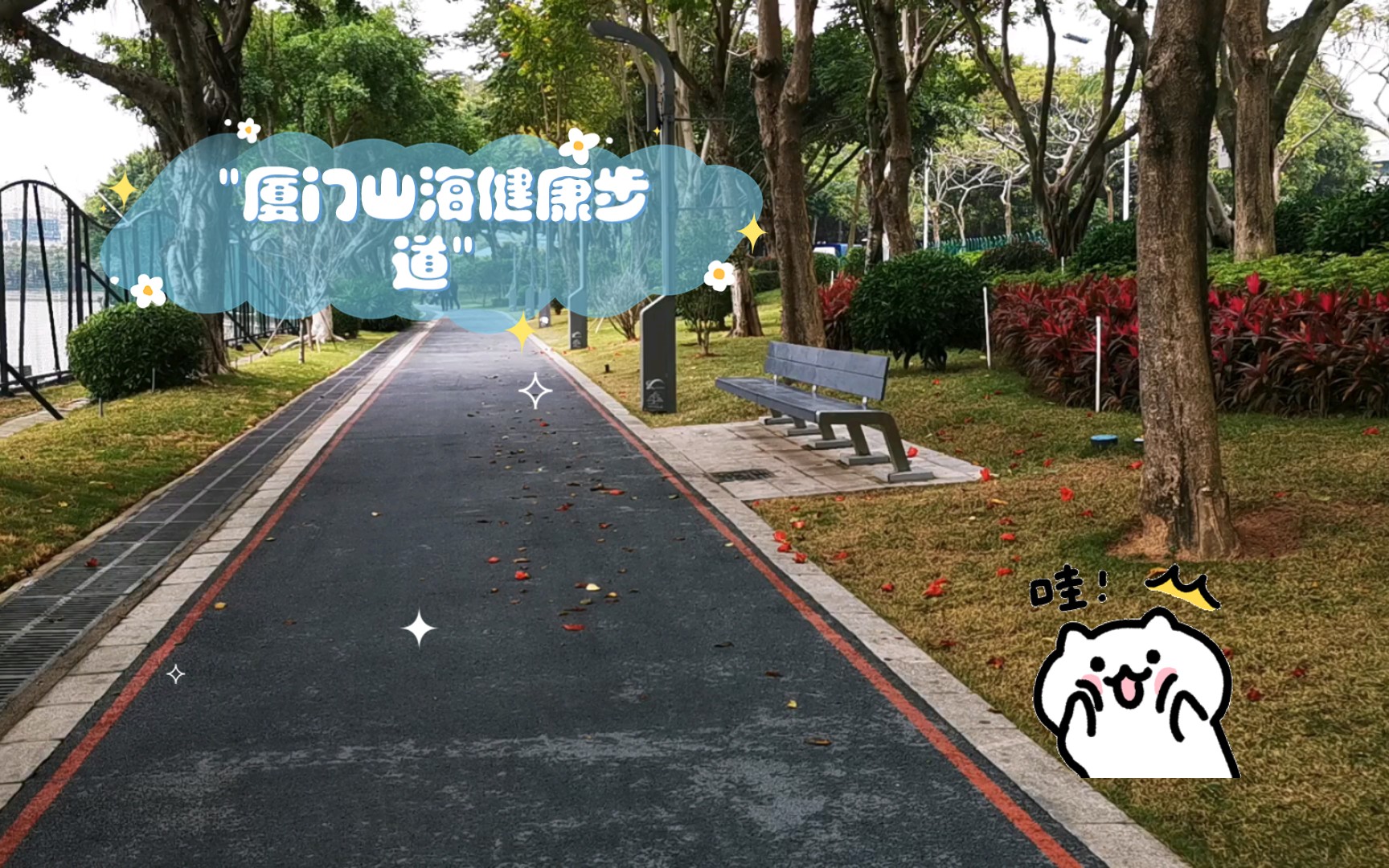 厦门山海健康步道