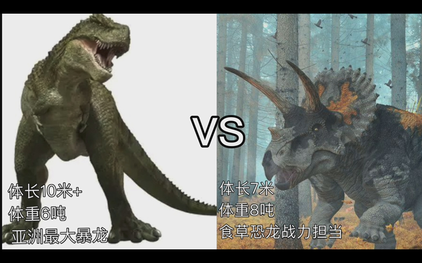 勇士特暴龙vs三角龙!亚洲最大暴龙vs食草恐龙战力担当!