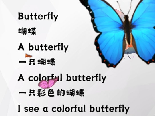 英语启蒙短篇美文:蝴蝶