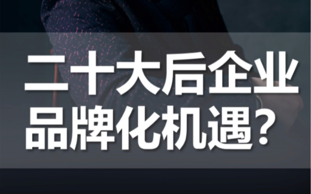 听二十大报告,最深的感悟是,中国已全面进入了品牌化社会,中国式现代化,中国式社会化,中国式产业化,归根结底是中国式品牌化.哔哩哔哩bilibili