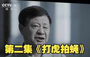 Download Video: 《零容忍》第二集《打虎拍蝇》