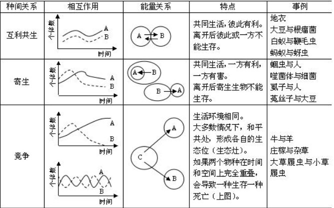 种间关系捕食曲线图图片