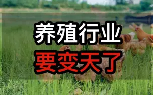 Descargar video: 养殖行业要变天了，新畜牧法今年3月1日执行，你知道具体内容吗