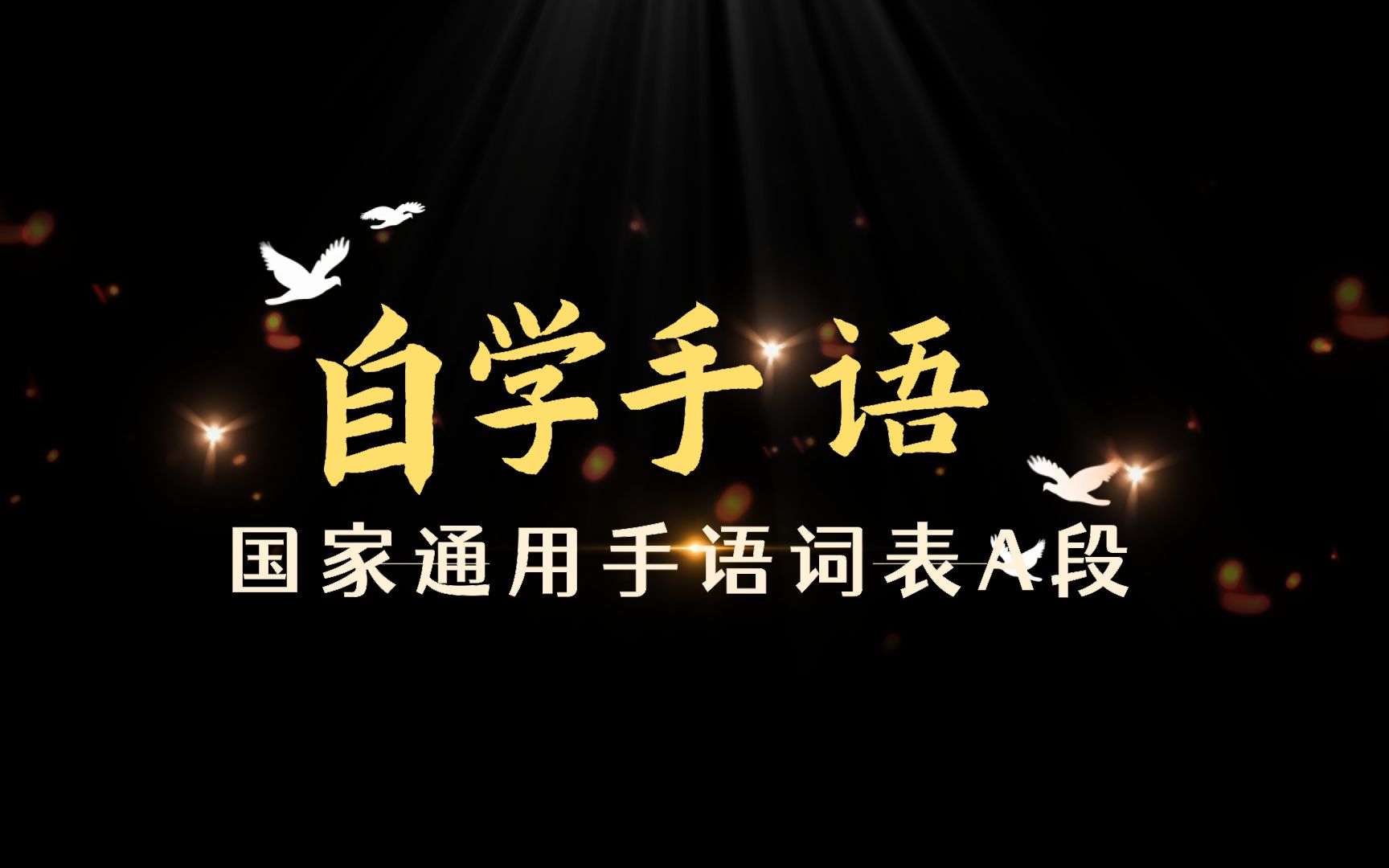【自存】自学手语第一天 国家通用手语词表 a段