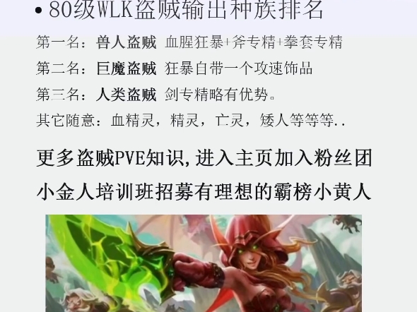 魔兽世界怀旧服巫妖王之怒版本盗贼输出种族推荐排名哔哩哔哩bilibili魔兽世界