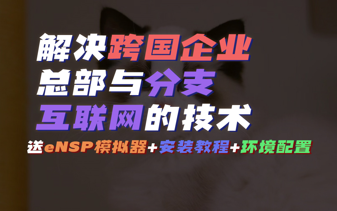 华为HCIE实战技术课程!解决跨国企业总部与分部互联网的技术【送eNSP模拟器教程】网络工程师必看!CCIE/HCIP/HCIA/CCNA/CCNP哔哩哔哩bilibili