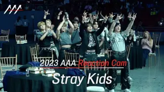 Download Video: 哥几个又买票进场了！Stray Kids AAA reaction合集