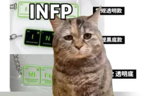 Tải video: INFP小蝴蝶的两幅面孔之初识&熟悉后