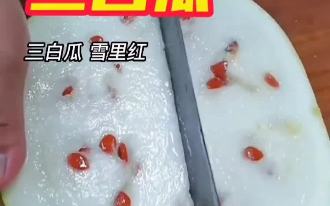 三白瓜也称[雪里红]#西瓜#黄瓜#三白瓜