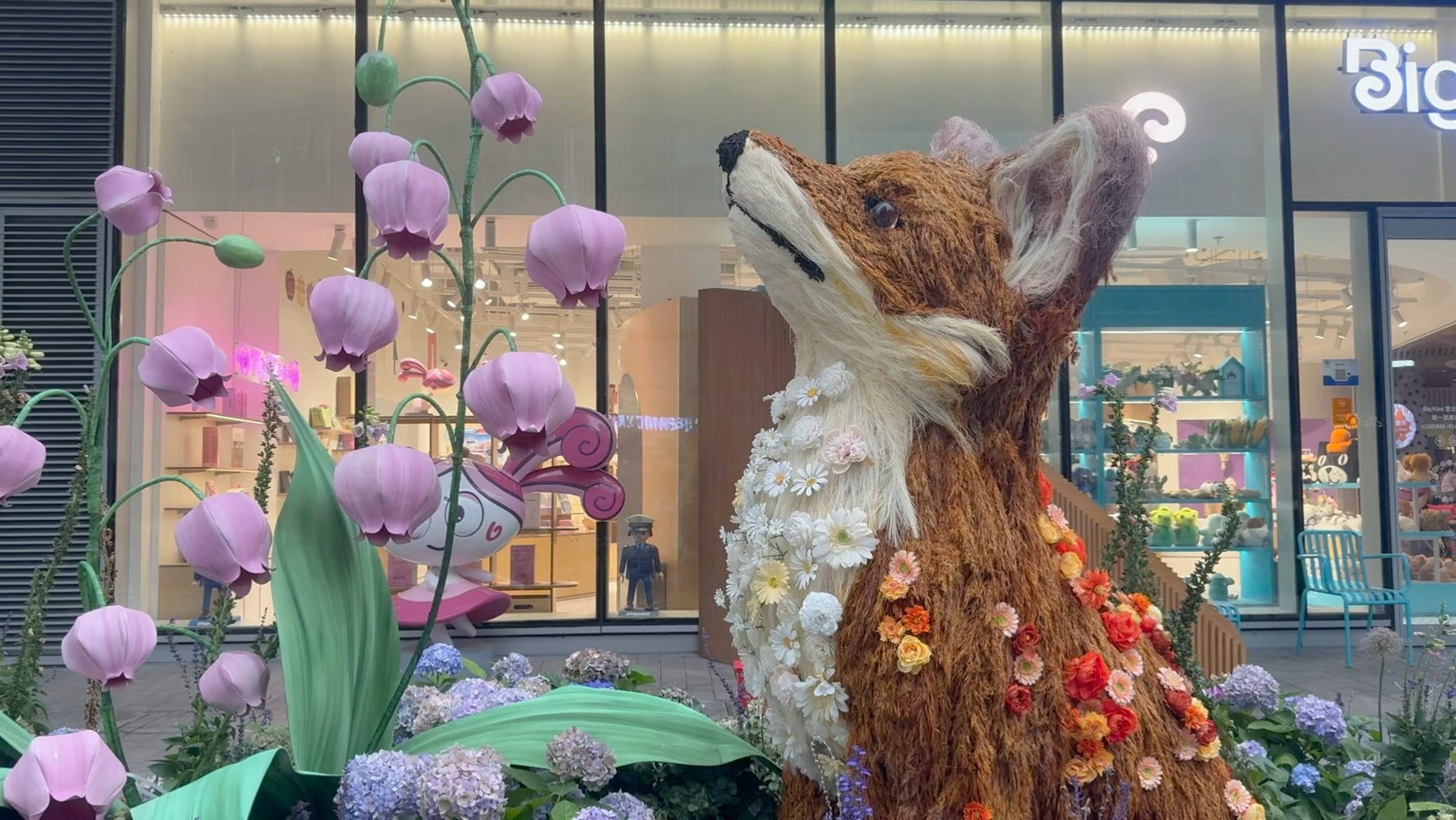 26年春/上海花展/宜兴陶瓷街/游泳的日子