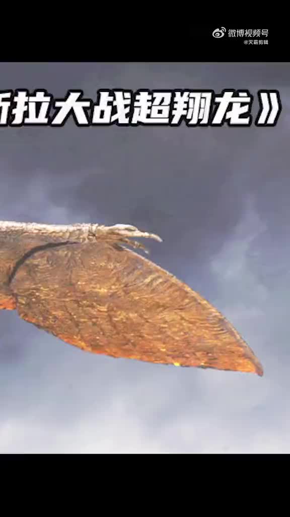 哥斯拉大战超翔龙75不忍直视的一场怪兽之战好看的影片影视电影