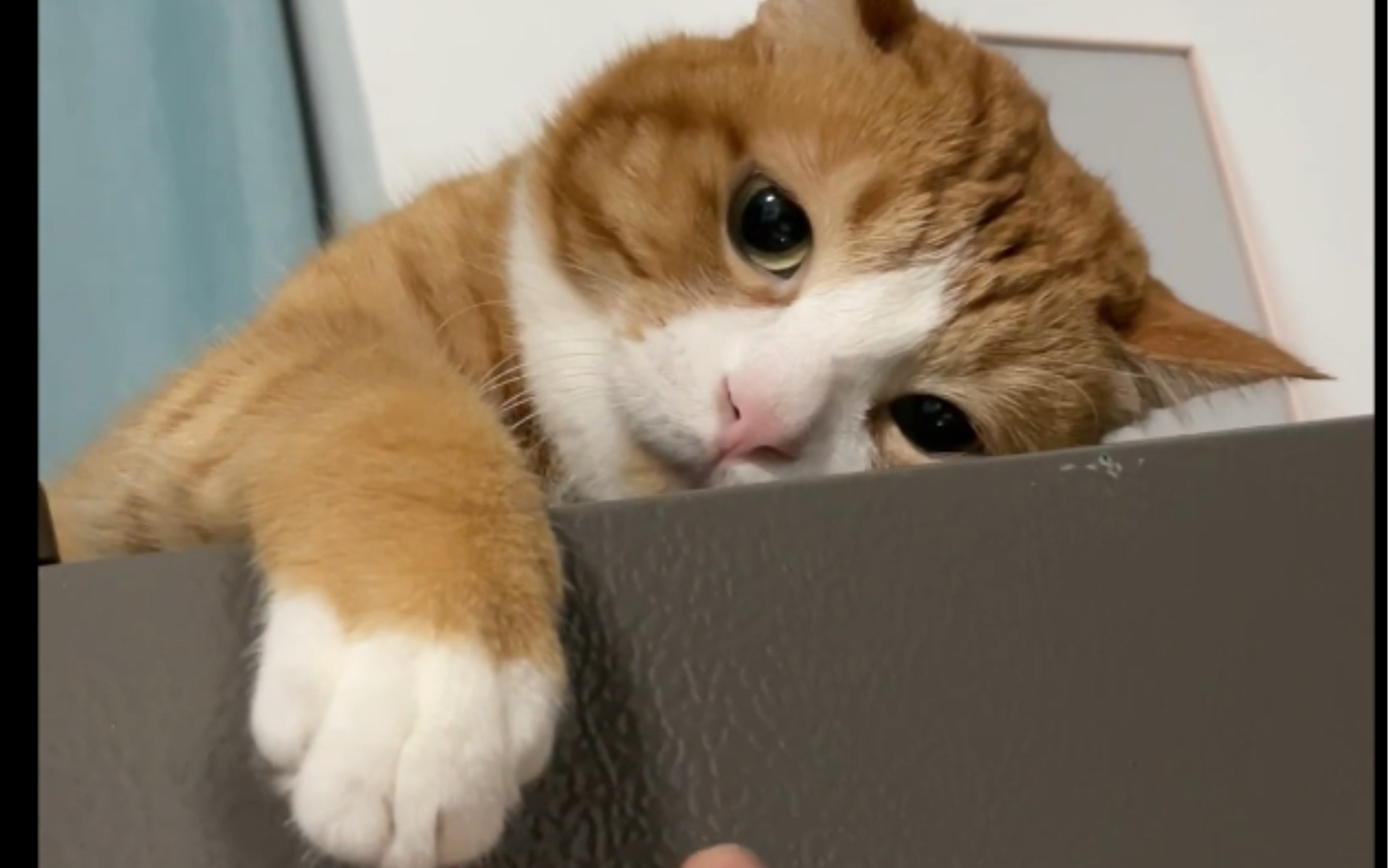 咪猫:这个男人怎么这么快