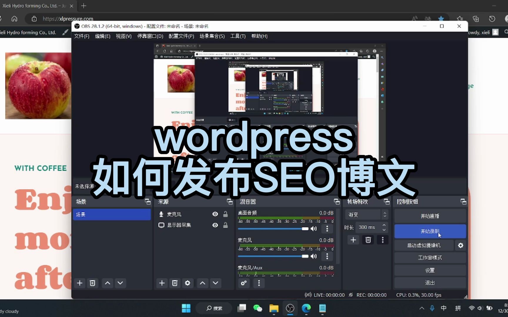 外贸网站如何发布博文,如何做博文seo,如何做wordpress文章优化,佛山外贸网站建设,
