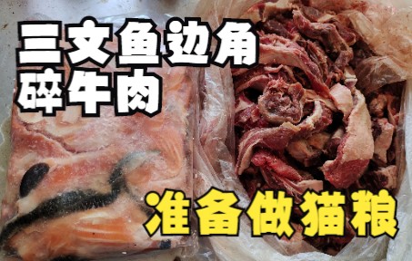 纯肉猫粮,三文鱼牛肉鸡胸青鱼.内含危险动作,请勿模仿!哔哩哔哩bilibili