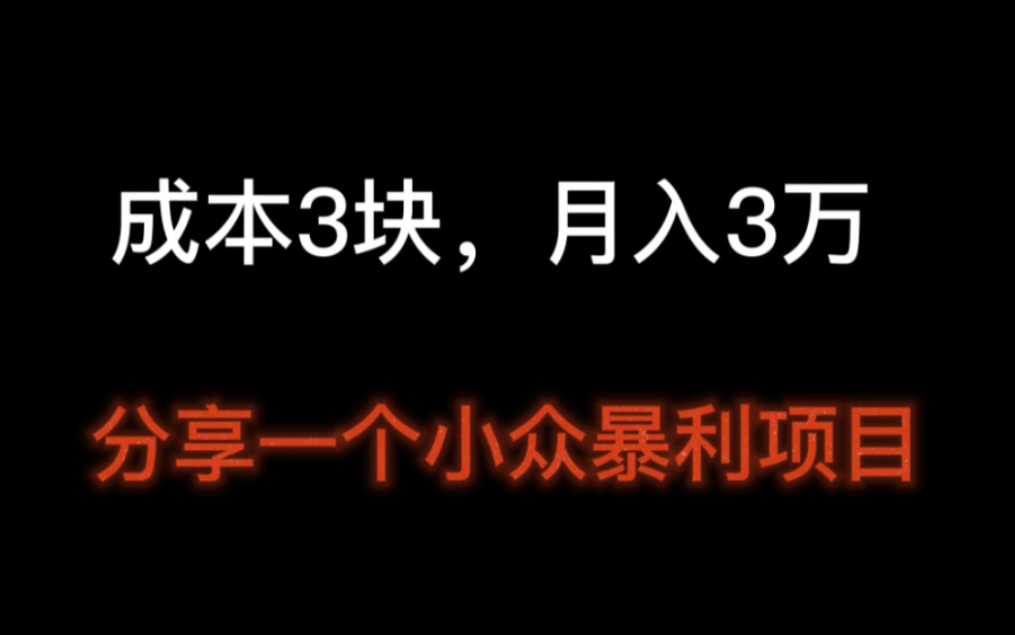 网赚项目分享:一个成本3块,月入3万,小众的暴利项目分享哔哩哔哩bilibili