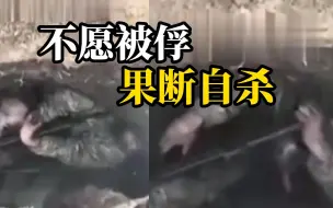 Скачать видео: 乌军无人机镜头拍下：俄罗斯瓦格纳士兵不愿成为俘虏，开枪自杀场面