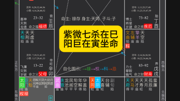 紫微斗数紫微七杀在巳太阳巨门寅宫坐命(中年丧夫晚年丧子)哔哩哔哩bilibili