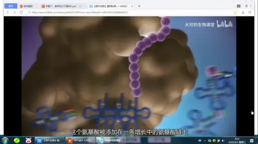 20200401-转录与翻译